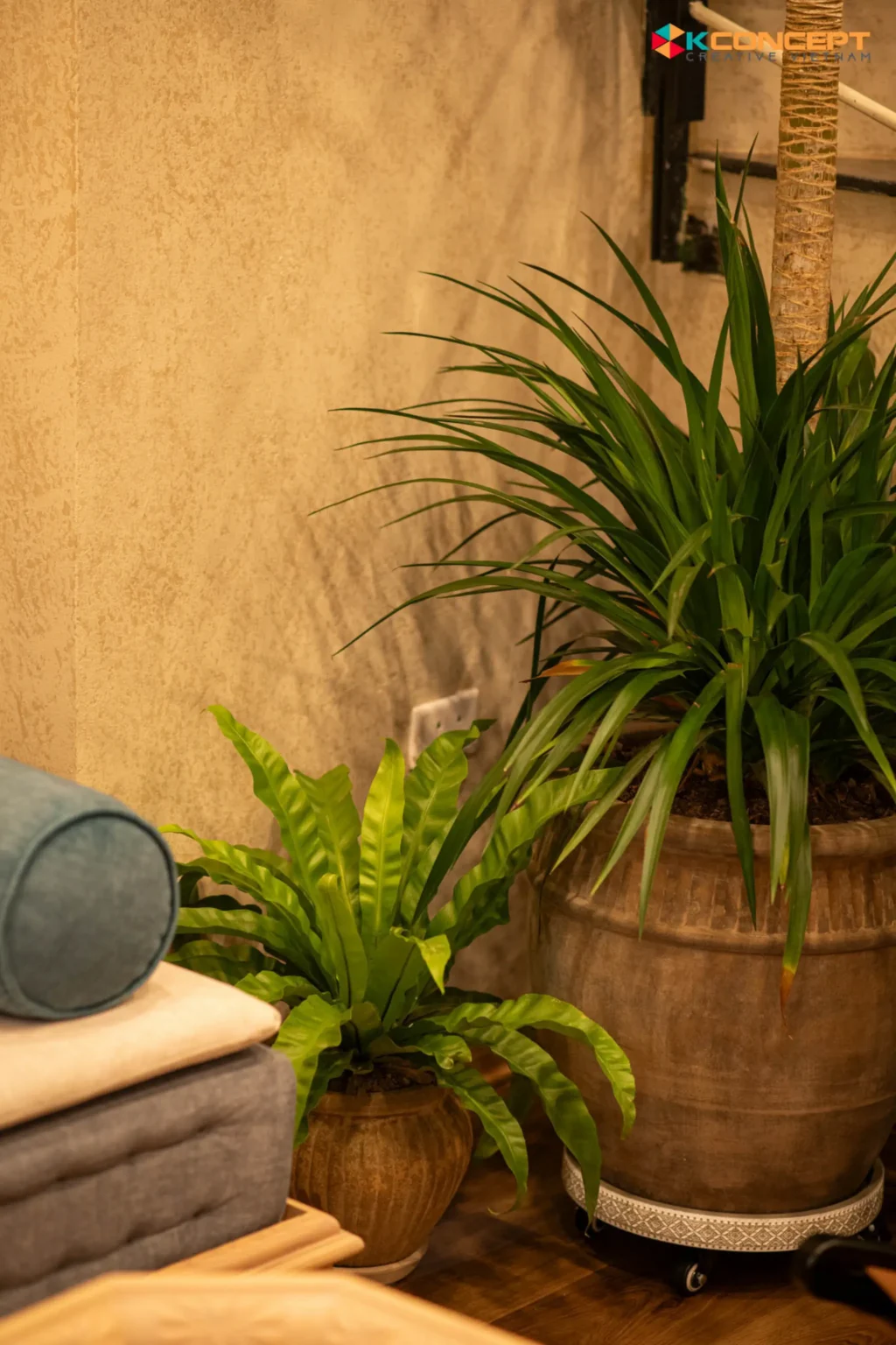 Chụp Ảnh Homestay – Homestay 84 Quán Thánh